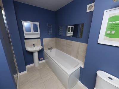Picture 12